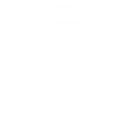 Translation Services in Delhi