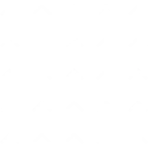 reliable translation company in Delhi